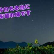 ヒメ日記 2025/08/28 19:06 投稿 しほ 素人妻達☆マイふぇらレディー