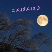 ヒメ日記 2025/09/11 20:00 投稿 しほ 素人妻達☆マイふぇらレディー