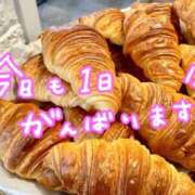 ヒメ日記 2025/09/12 07:01 投稿 しほ 素人妻達☆マイふぇらレディー