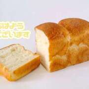 ヒメ日記 2025/09/14 07:00 投稿 しほ 素人妻達☆マイふぇらレディー