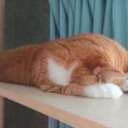 しほ ごめんなさい 素人妻達☆マイふぇらレディー