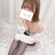 ヒメ日記 2025/09/25 15:09 投稿 みなみ Tokyo fairy land-東京フェアリーランド-