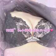 ヒメ日記 2025/08/19 09:16 投稿 みら 横浜ひよこ倶楽部