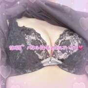 ヒメ日記 2025/08/19 09:20 投稿 みら 横浜ひよこ倶楽部