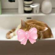 ヒメ日記 2026/01/12 16:08 投稿 りな★超清純派の現役看護学生★ Chloe錦糸町店 S級素人清楚系デリヘル