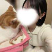 ヒメ日記 2026/02/22 22:17 投稿 りな★超清純派の現役看護学生★ Chloe錦糸町店 S級素人清楚系デリヘル