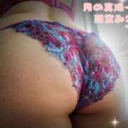 ヒメ日記 2025/09/19 12:55 投稿 藤堂みさき 月の真珠-新宿-