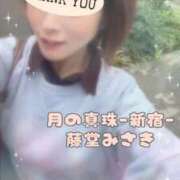 ヒメ日記 2025/11/01 19:28 投稿 藤堂みさき 月の真珠-新宿-