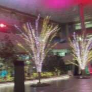 ヒメ日記 2025/12/22 19:18 投稿 藤堂みさき 月の真珠-新宿-