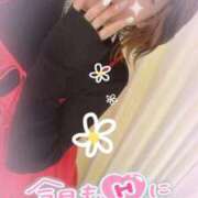 ヒメ日記 2026/04/08 10:48 投稿 藤堂みさき 月の真珠-新宿-