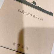 ヒメ日記 2026/06/03 20:37 投稿 片瀬みりな MIRAI TOKYO 新宿店