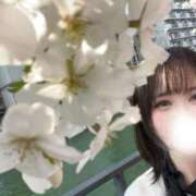 ヒメ日記 2026/04/14 12:17 投稿 みさ トリプルA