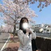 ヒメ日記 2026/04/20 12:07 投稿 みさ トリプルA