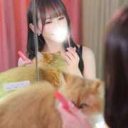 ヒメ日記 2026/05/28 07:17 投稿 みさ トリプルA