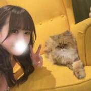 ヒメ日記 2026/06/03 07:27 投稿 みさ トリプルA