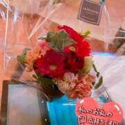 ヒメ日記 2026/01/12 08:42 投稿 音夢(ねむ) 人妻城 横浜本店