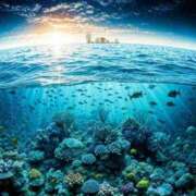 ヒメ日記 2025/11/01 14:18 投稿 今泉 モアグループ大宮人妻花壇