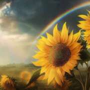 ヒメ日記 2025/11/01 14:33 投稿 今泉 モアグループ大宮人妻花壇