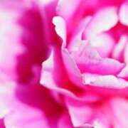 ヒメ日記 2025/11/03 23:33 投稿 今泉 モアグループ大宮人妻花壇