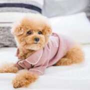 ヒメ日記 2025/11/22 22:18 投稿 今泉 モアグループ大宮人妻花壇