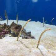 今泉 明日出勤しまーす🥳🌼✨💕 モアグループ大宮人妻花壇