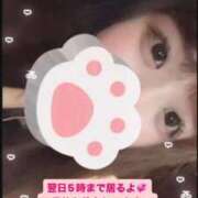 ヒメ日記 2025/10/12 15:18 投稿 ゆか 白いぽっちゃりさん仙台店