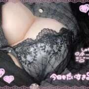 ヒメ日記 2025/10/26 12:14 投稿 ゆか 白いぽっちゃりさん仙台店