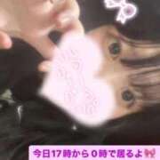 ヒメ日記 2025/11/26 07:18 投稿 ゆか 白いぽっちゃりさん仙台店