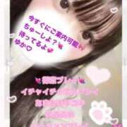 ヒメ日記 2026/01/01 03:48 投稿 ゆか 白いぽっちゃりさん仙台店