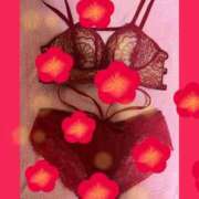 瀬戸香 おはようございます、瀬戸香です♪ 五十路マダム 岐阜店