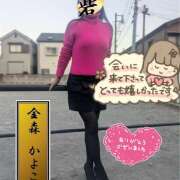 ヒメ日記 2026/02/01 16:31 投稿 金森かよこ（かなもりかよこ） 人妻最後の砦 西船橋店