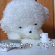 ヒメ日記 2025/11/21 14:39 投稿 りりあ 秘密倶楽部 凛 錦糸町店