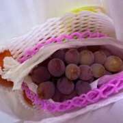 ヒメ日記 2025/09/01 19:07 投稿 ともえ 電マナイザー イラマチオン