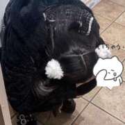 ヒメ日記 2025/11/15 14:04 投稿 もこ【FG系列】 フィーリングin横浜