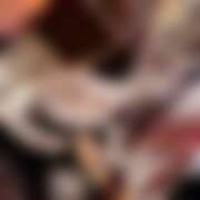 ヒメ日記 2025/09/12 23:47 投稿 めろ さくらん