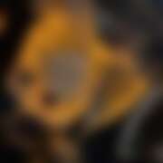 ヒメ日記 2025/10/25 02:01 投稿 めろ さくらん