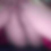 ヒメ日記 2025/12/27 21:41 投稿 めろ さくらん