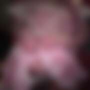 ヒメ日記 2026/02/07 19:44 投稿 めろ さくらん