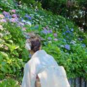 ヒメ日記 2025/11/09 23:47 投稿 SARINA（さりな） UTAKATA