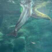 SARINA(さりな) ボケーッと⸜🌷︎⸝ UTAKATA