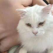 ヒメ日記 2026/01/27 21:13 投稿 SARINA（さりな） UTAKATA