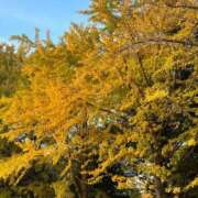 まゆり ごめんなさい 完全密室 無抵抗