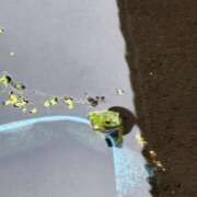 ヒメ日記 2026/07/01 12:20 投稿 まゆり 完全密室 無抵抗