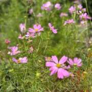 ヒメ日記 2025/09/26 08:20 投稿 あみ ちゃんこ本厚木店