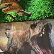 ヒメ日記 2025/10/17 03:22 投稿 山之内なな 新ハイブリッドエステ エクスタシーPLUS