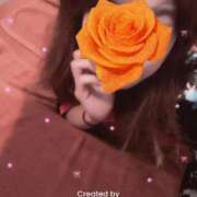 ヒメ日記 2025/08/23 11:43 投稿 わか おいらん遊郭