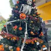 ヒメ日記 2025/09/29 09:55 投稿 わか おいらん遊郭