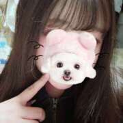 ヒメ日記 2026/02/14 01:00 投稿 るか『Iカップ』 ぽよぽよランド