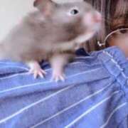 ヒメ日記 2025/08/23 18:16 投稿 れんり 久留米デリヘルセンター