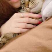 ヒメ日記 2025/09/28 19:36 投稿 ルピス 【福岡デリヘル】20代・30代★博多で評判のお店はココです！